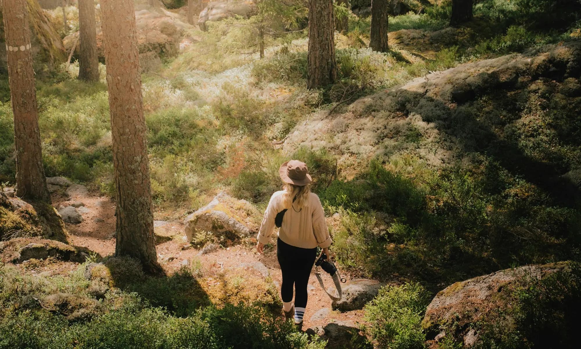 Person walking a sunlit forest trail — recovery after alcohol withdrawal treatment in Modesto, CA